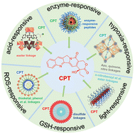 Graphical abstract: Camptothecin-based prodrug nanomedicines for cancer therapy