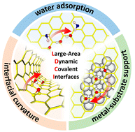 Graphical abstract: Graphene oxide-based large-area dynamic covalent interfaces