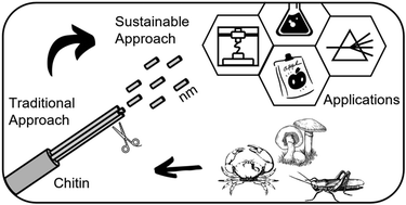 Graphical abstract: Nanochitin for sustainable and advanced manufacturing