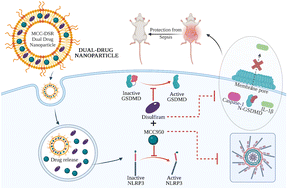 Graphical abstract: Nanoparticle-mediated co-delivery of inflammasome inhibitors provides protection against sepsis