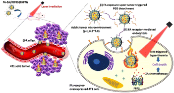Graphical abstract: Tumor-activated targetable photothermal chemotherapy using IR780/zoledronic acid-containing hybrid polymeric nanoassemblies with folate modification to treat aggressive breast cancer