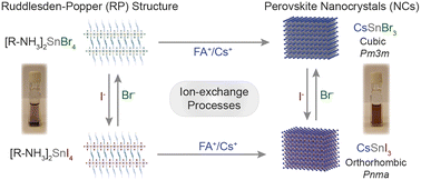 Graphical abstract: Structural and optical control through anion and cation exchange processes for Sn-halide perovskite nanostructures