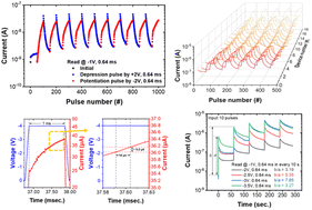 Graphical abstract: Enhanced linear and symmetric synaptic weight update characteristics in a Pt/p-LiCoOx/p-NiO/Pt memristor through interface energy barrier modulation by Li ion redistribution