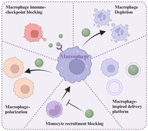 Graphical abstract: Macrophage-modulating nanomedicine for cancer immunotherapy