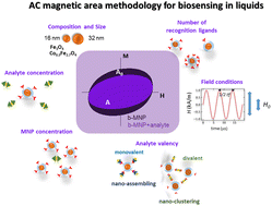 Graphical abstract: Multiparametric modulation of magnetic transduction for biomolecular sensing in liquids