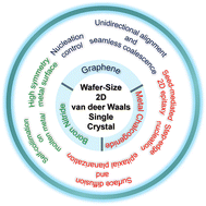 Graphical abstract: Wafer scale growth of single crystal two-dimensional van der Waals materials