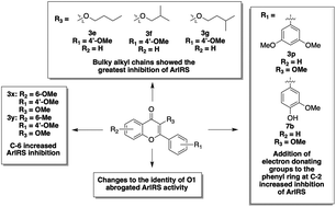 Graphical abstract: A structure activity relationship study of 3,4′-dimethoxyflavone for ArlRS inhibition in Staphylococcus aureus