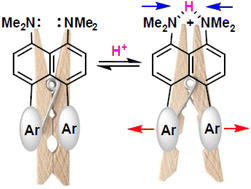 Graphical abstract: Synthesis, conformational stability and molecular structure of 4-aryl- and 4,5-diaryl-1,8-bis(dimethylamino)naphthalenes