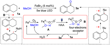 Graphical abstract: Solvent-promoted photochemical carbonylation of benzylic C–H bonds under iron catalysis