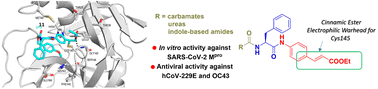 Graphical abstract: Synthesis of SARS-CoV-2 Mpro inhibitors bearing a cinnamic ester warhead with in vitro activity against human coronaviruses