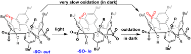 Graphical abstract: Stereoselective oxidation of phenoxathiin-based thiacalix[4]arenes – stereomutation of sulfoxide groups