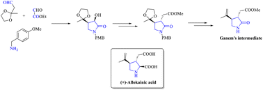 Graphical abstract: An approach towards (+)-allokainic acid via diphenylprolinol-catalyzed direct cross-aldol reaction