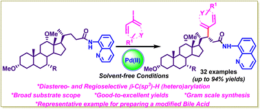 Graphical abstract: Synthesis of modified bile acids via palladium-catalyzed C(sp3)–H (hetero)arylation