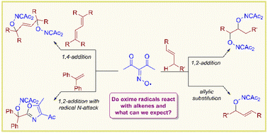 Graphical abstract: The diacetyliminoxyl radical in oxidative functionalization of alkenes