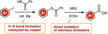 Graphical abstract: Facile synthesis of sulfinate esters from aryl iodides via direct oxidation of thioesters
