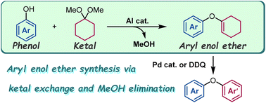 Graphical abstract: Aluminium-catalysed synthesis of aryl enol ethers from phenols and dimethyl ketals