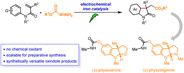 Graphical abstract: Electrochemical Fe-catalysed radical cyclization for the synthesis of oxindoles