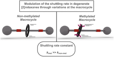 Graphical abstract: Modulating the shuttling motion of [2]rotaxanes built of p-xylylenediamine units through permethylation at the benzylic positions of the ring