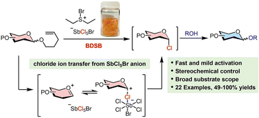Graphical abstract: Glycosylation of n-pentenyl glycosides using bromodiethylsulfonium salt as an activator: interception of the glycosyl intermediate by chloride ion transfer