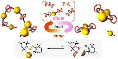 Graphical abstract: A thermally driven rotaxane–catenane interconversion with a dynamic bis(hindered amino) disulfide