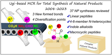 Graphical abstract: Recent developments in the total synthesis of natural products using the Ugi multicomponent reactions as the key strategy