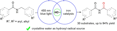 Graphical abstract: Selective α-oxidation of amides via visible-light-driven iron catalysis