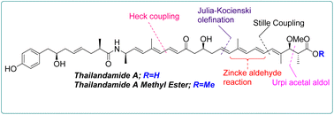 Graphical abstract: Stereoselective synthesis of thailandamide A methyl ester