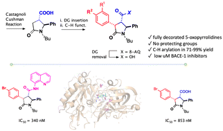 Graphical abstract: Identification of BACE-1 inhibitors through directed C(sp3)–H activation on 5-oxo-pyrrolidine-3-carboxylic acid derivatives