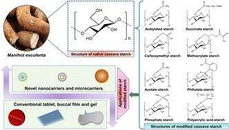 Graphical abstract: Advances of cassava starch-based composites in novel and conventional drug delivery systems: a state-of-the-art review
