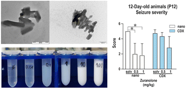 Graphical abstract: A zuranolone nanocrystal formulation enables solubility-independent in vivo study of pentylenetetrazol-induced seizures in a rat model