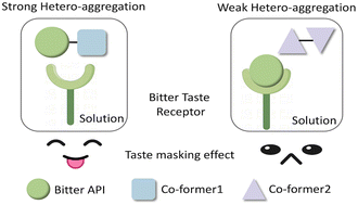 Graphical abstract: Exploring co-crystallisation as a technique for taste-masking of nevirapine
