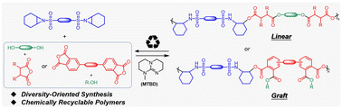 Graphical abstract: Diversity-oriented synthesis of chemically recyclable poly(sulfonamide ester)s through organocatalytic aziridine-based multicomponent polymerization