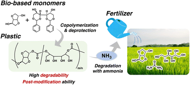 Graphical abstract: Plastics to fertilizer: guiding principles for functionable and fertilizable fully bio-based polycarbonates
