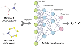 Graphical abstract: An artificial neural network to predict reactivity ratios in radical copolymerization