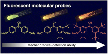 Graphical abstract: Efficient detection of polymeric mechanoradicals via fluorescent molecular probes stabilized by steric hindrance