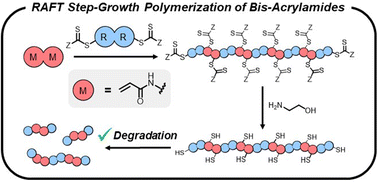 Graphical abstract: RAFT step-growth polymerization of bis-acrylamides and their facile degradation