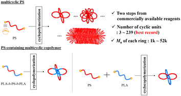 Graphical abstract: Cyclopolymerization: a versatile approach toward multicyclic polystyrene and polystyrene-containing multicyclic copolymers
