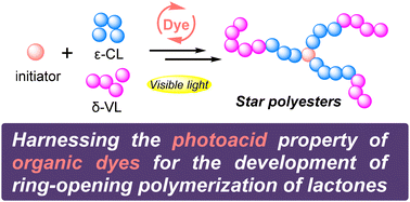 Graphical abstract: Harnessing the photo-acidity of organic dyes for the development of ring-opening polymerization of lactones under visible light
