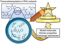 Graphical abstract: Polyhydroxyurethane covalent adaptable networks: looking for suitable catalysts