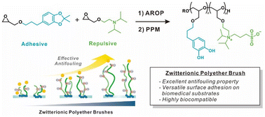 Graphical abstract: Mussel-inspired zwitterionic copolyethers for antifouling biomedical surfaces