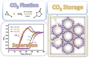 Graphical abstract: Design of a robust rod-packing scandium–organic framework for C2Hx/CO2 separation, CO2 storage, and catalytic CO2 cycloaddition