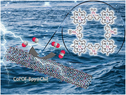 Graphical abstract: A supported polymeric organic framework composed of dual electrocatalytically active sites for high-performance carbon dioxide electroreduction