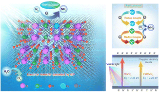 Graphical abstract: “FeV-cofactor”-inspired bionic Fe-doped BiVO4 photocatalyst decorated with few-layer 2D black phosphorus for efficient nitrogen reduction