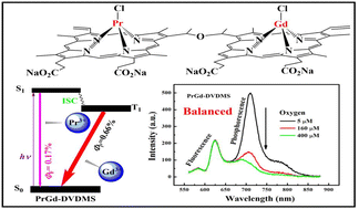 Graphical abstract: Balancing the phosphorescence and fluorescence of a double-ring porphyrin using different lanthanides for ratiometric oxygen sensing