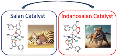 Graphical abstract: Manipulating pre-equilibria in olefin polymerization catalysis: backbone-stiffening converts a living into a highly active salan-type catalyst