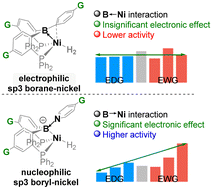 Graphical abstract: Distinct electronic effects of borane– and boryl–nickel complexes for catalyzing H2 activation