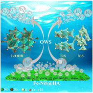 Graphical abstract: Reasonable regulation of flexible sulfur-based bifunctional catalytic electrodes for efficient seawater splitting