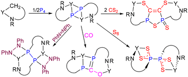 Graphical abstract: Straightforward construction of a rare-earth diphosphanato complex from white phosphorus: synthesis and reactivity