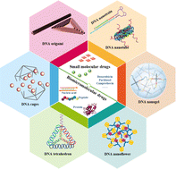 Graphical abstract: DNA as highly biocompatible carriers for drug delivery