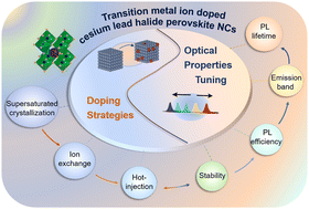 Graphical abstract: Transition metal ion-doped cesium lead halide perovskite nanocrystals: doping strategies and luminescence design